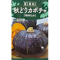 Amazon.co.jp: 【種子】秋どりミニカボチャ 栗こまち トーホクの
